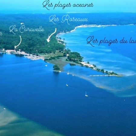 Studio Mansarde Climatise Les Roseaux Bord De Lac Biscarrosse Zewnętrze zdjęcie