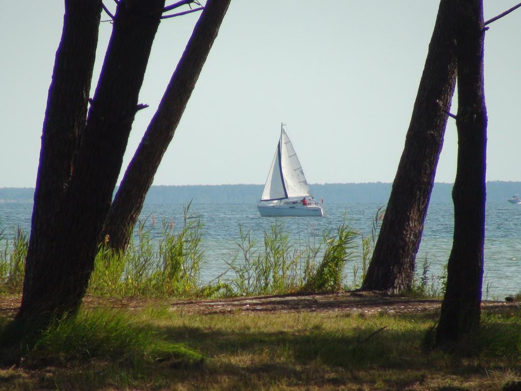 Studio Mansarde Climatise Les Roseaux Bord De Lac Biscarrosse Zewnętrze zdjęcie