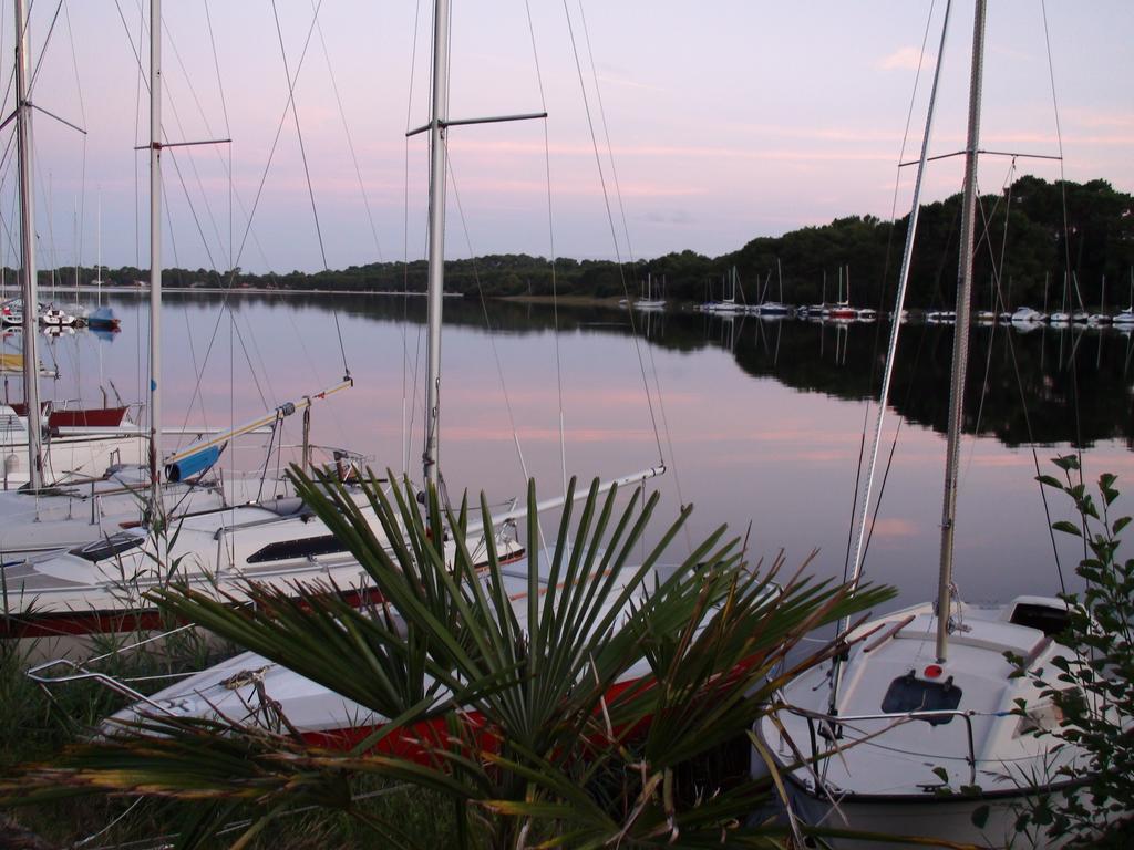 Studio Mansarde Climatise Les Roseaux Bord De Lac Biscarrosse Zewnętrze zdjęcie