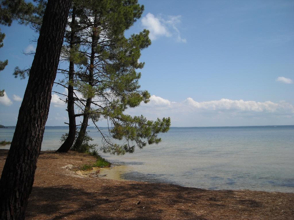 Studio Mansarde Climatise Les Roseaux Bord De Lac Biscarrosse Zewnętrze zdjęcie