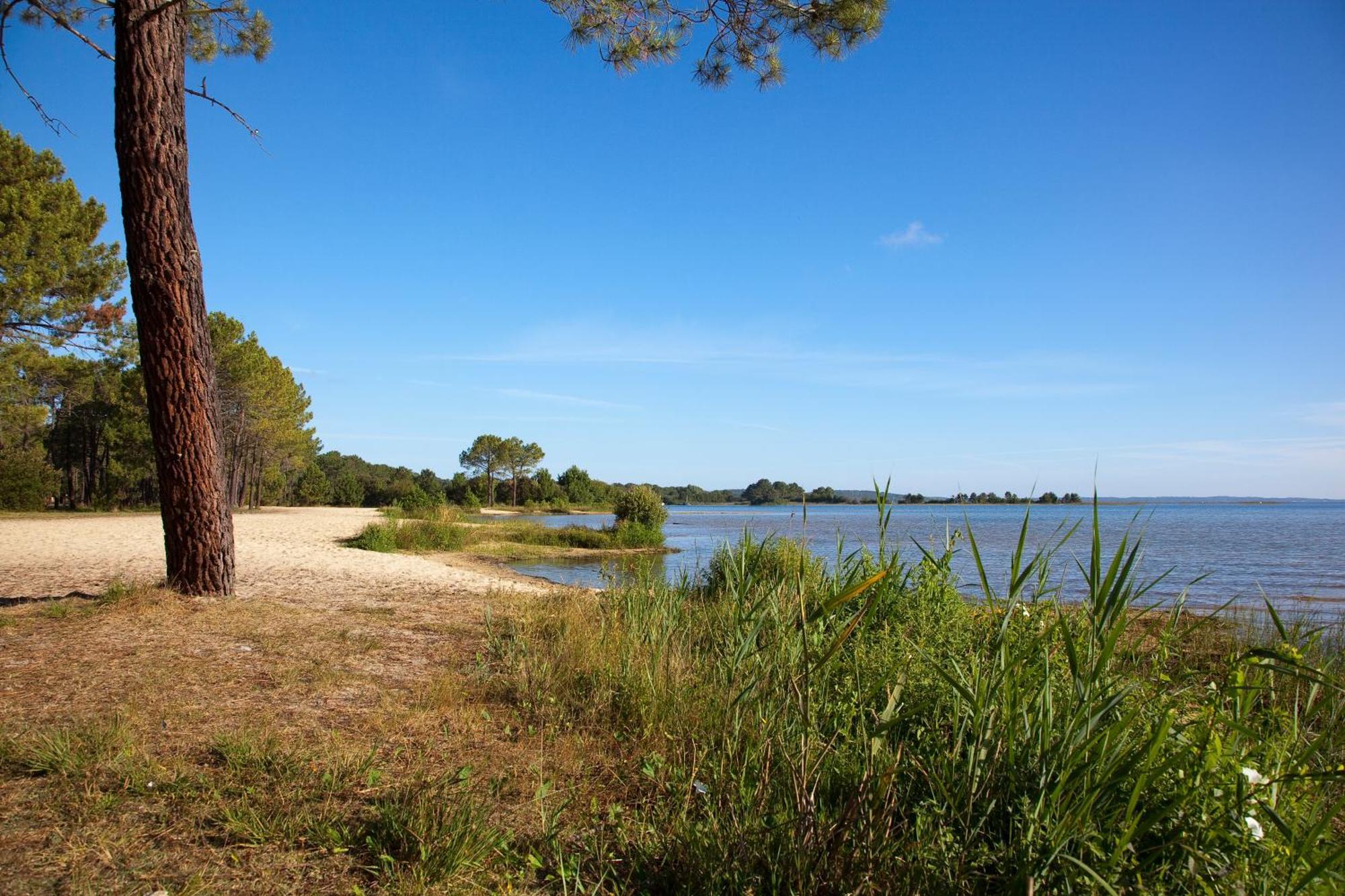 Studio Mansarde Climatise Les Roseaux Bord De Lac Biscarrosse Zewnętrze zdjęcie