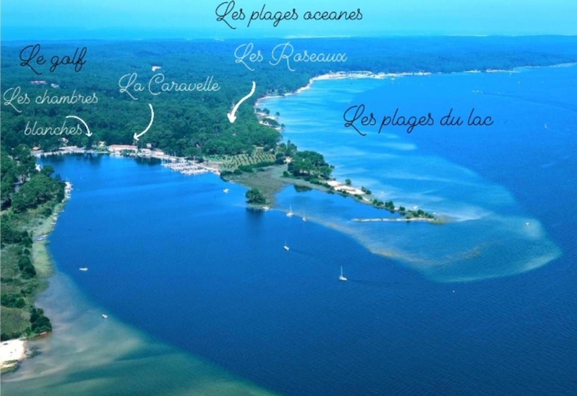 Studio Mansarde Climatise Les Roseaux Bord De Lac Biscarrosse Zewnętrze zdjęcie