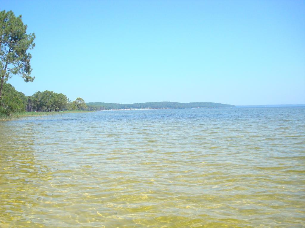 Studio Mansarde Climatise Les Roseaux Bord De Lac Biscarrosse Zewnętrze zdjęcie