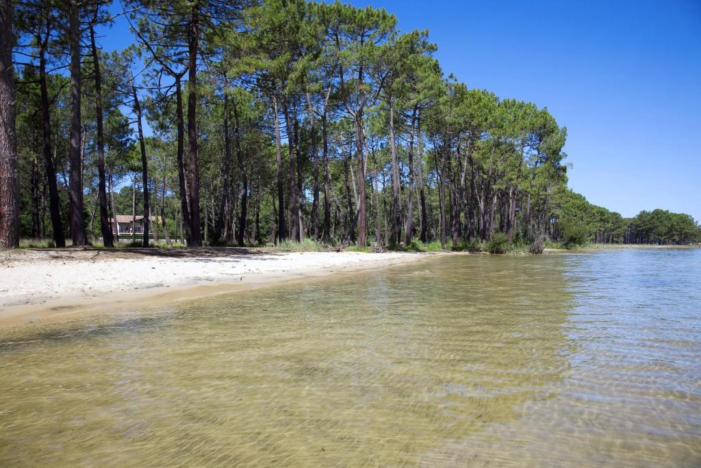 Studio Mansarde Climatise Les Roseaux Bord De Lac Biscarrosse Zewnętrze zdjęcie