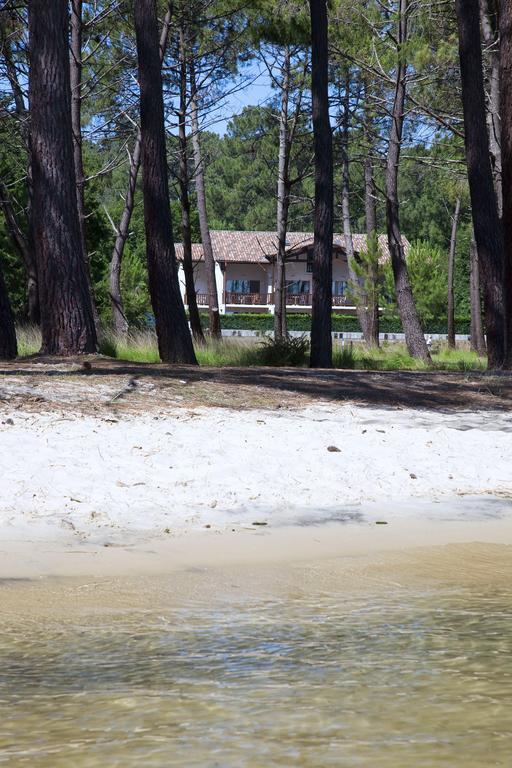 Studio Mansarde Climatise Les Roseaux Bord De Lac Biscarrosse Zewnętrze zdjęcie